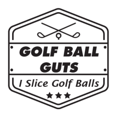 Ball Marker: 2020 Vice Pro Plus - Ball Marker: 2020 Vice Pro Plus - GolfBallGuts